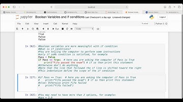 Easy Python Boolean variables and If conditions