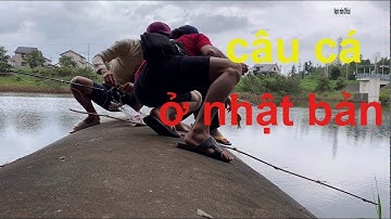 Câu cá tại hồ nhật bản ||cuộc sống lao động nhật bản||
