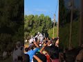 فرسان ليبيا Horse ليبيا 