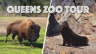 Queens Zoo Tour (Sea Lions, Bison, Aviary &amp; More)