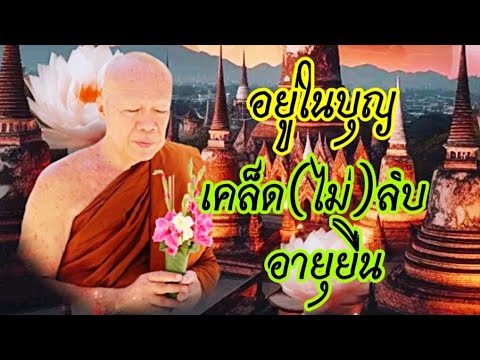 อยู่ในบุญ การปฏิบัติให้อายุยืน #โอวาทธรรม #ครูบาอินทร ปัญญาวัฑฒโน #วัดสันป่ายางหลวง จ.ลำพูน