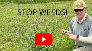 NO Weeds, NO Chemicals ❗