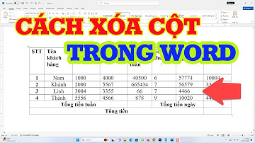 Xóa cột trong Word: Chi tiết từng bước cho người mới bắt đầu