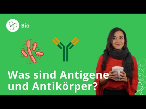 Video: Was Sind Antibücher?