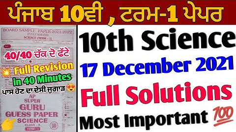 Pseb 10th Science Term 1 Paper | full solutions 17 December 2021 | important question answer