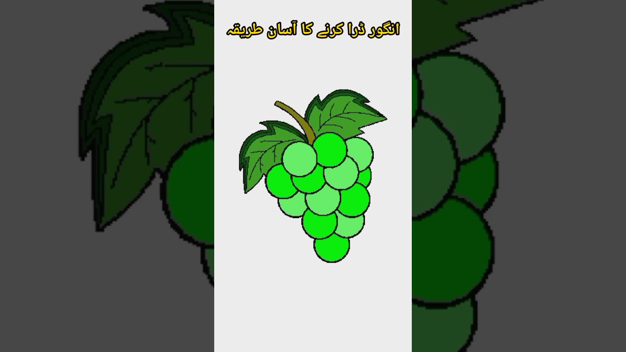 How to draw grape | how to draw fruit انگور ڈرا کریں آسان طریقہ 