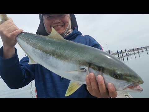 Malaking KINGFISH 🤣🤣