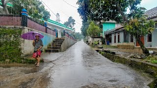 Afternoon Rain Falls in Rural Indonesia||The Sound of Rain and Animal Sounds Make You Feel at Home