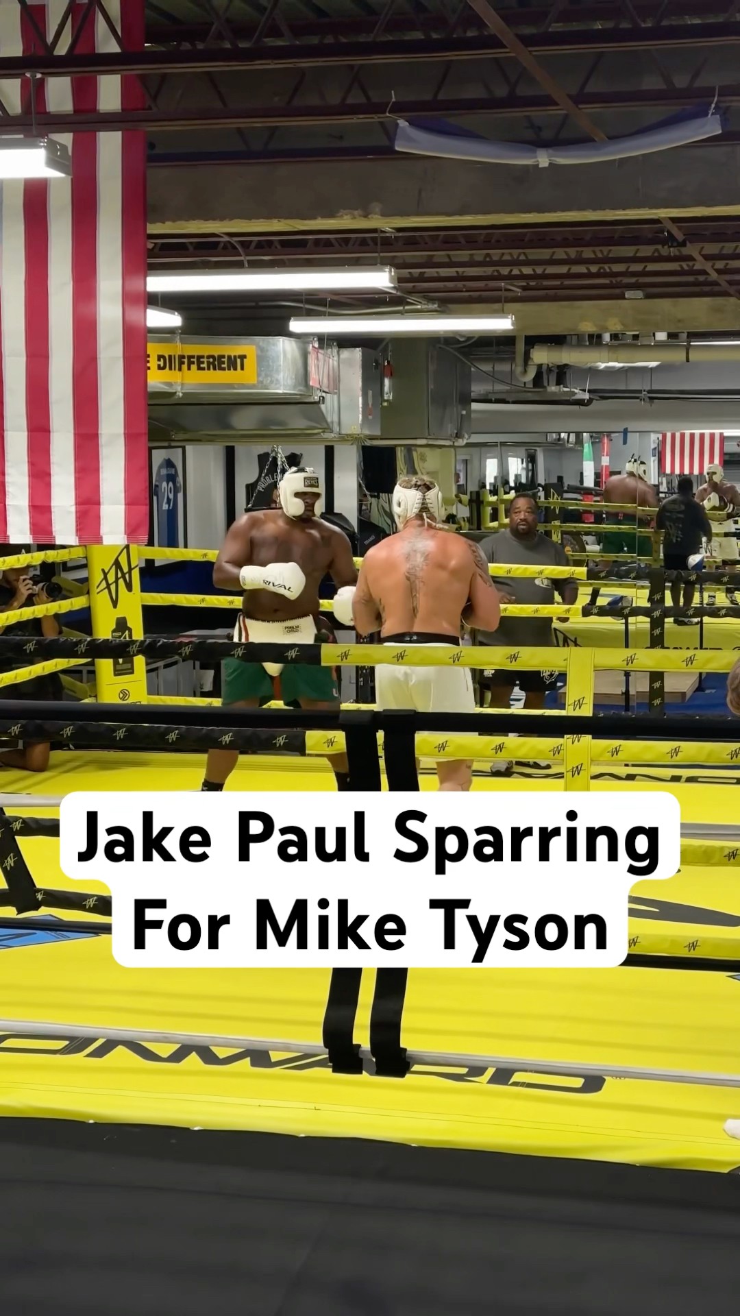 November 15th. #PaulTyson