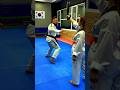 #martialarts #taekwondo