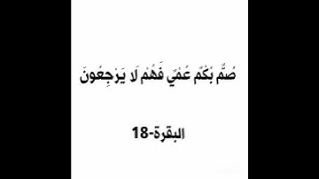 سورة البقرة الآية 18 #القرآن_الكريم #سورة_البقرة #الحمزة_سدراية