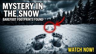 9 Hikers Vanished in the Snow. What Rescuers Found Made No Sense.