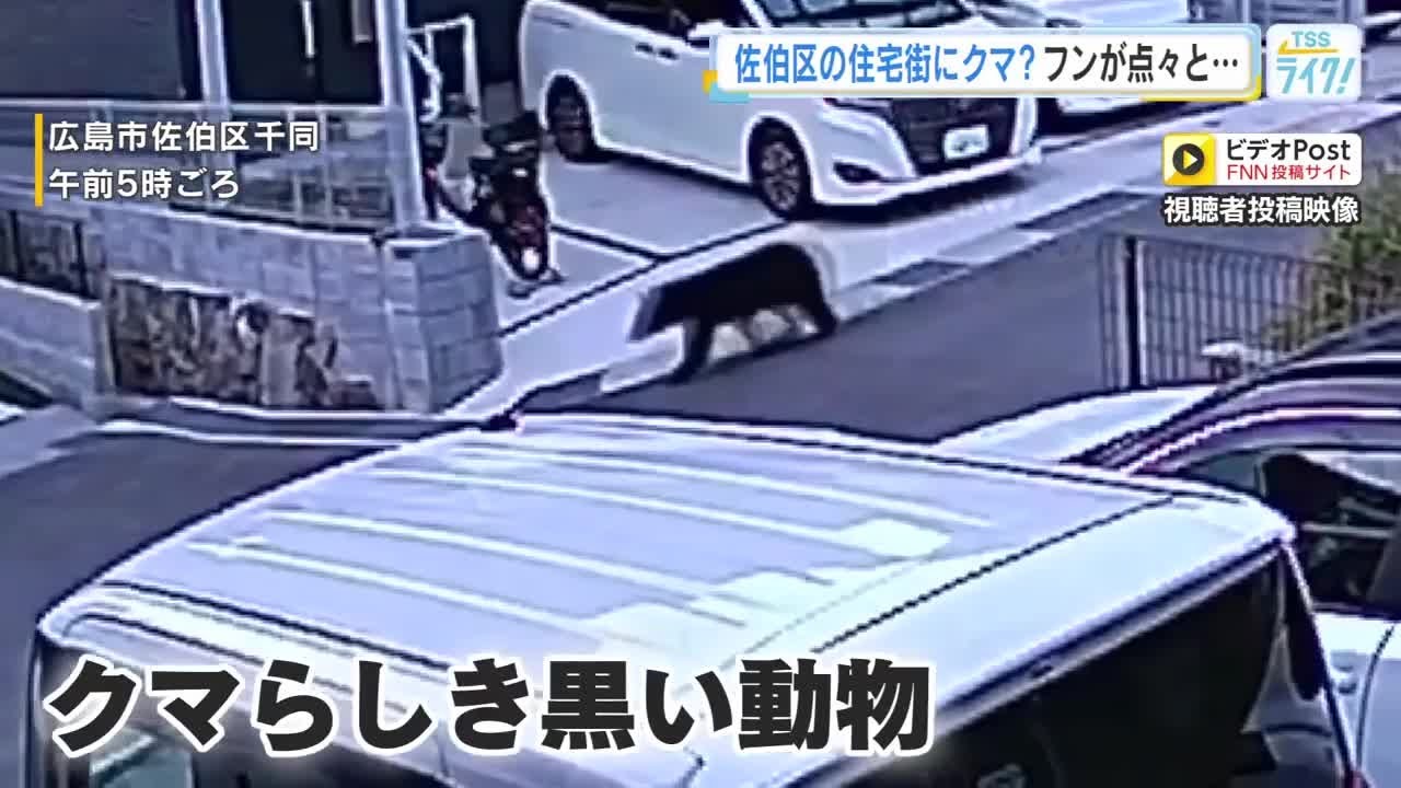 クマが出ると顕著に売れる」クマ除けグッズ ホームセンターは品数