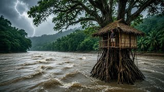 90 Day Challenge Building A Treehouse To Survive Safely From Ground Hazards Using Primitive Tools