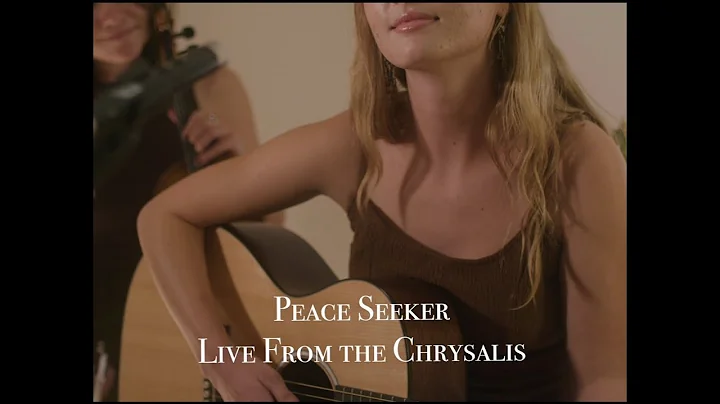 Peace Seeker - Live from the Chrysalis