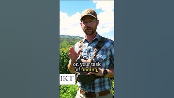 Binoculars vs Rangefinder