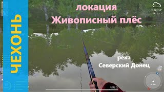 Русская рыбалка 4 - река Северский Донец - Чехонь с мостика