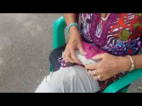 Правла Крыма: Администрация Феодосии провалила курортный сезон