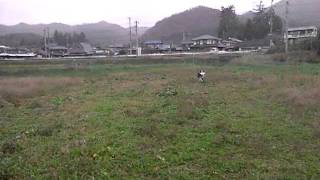円盤遊び20111201
