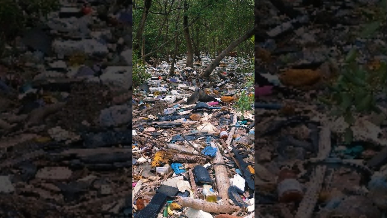 One Small Act of Kindness🌍