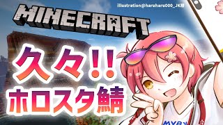 【Minecraft】めっっっっちゃ久々にホロスタ鯖上陸する!!【花咲みやび/ホロスターズ】