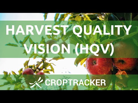 Harvest Quality Vision (HQV) - video from Croptracker