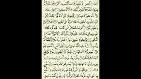 تلاوة الآيات (( 191 إلى 196)) من سورة البقرة