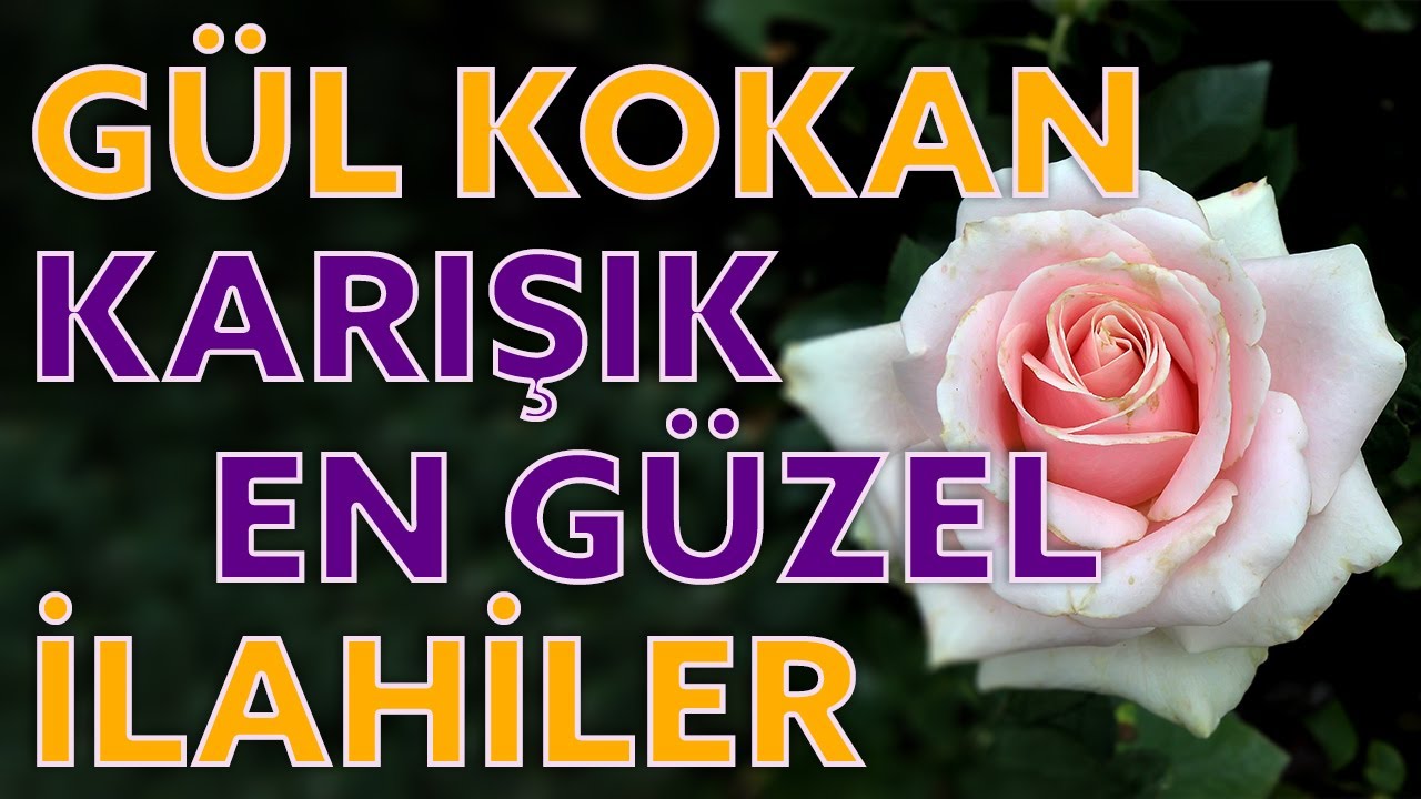 ABDURRAHMAN ÖNÜL CEMAL KURU ve BİR ÇOK İLAHİ SANATÇISINDAN EN GÜZEL İLAHİLER