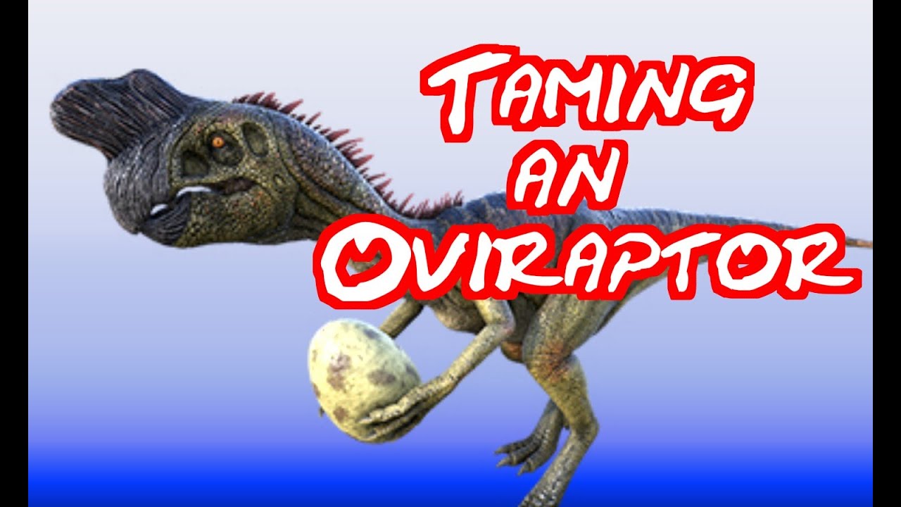 ARK for Beginners: Oviraptor Tame - YouTube