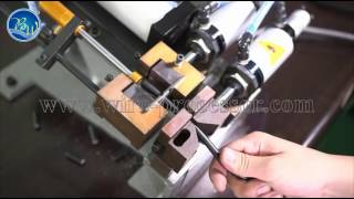 BW-310 Electrical pneumatic stripping machine