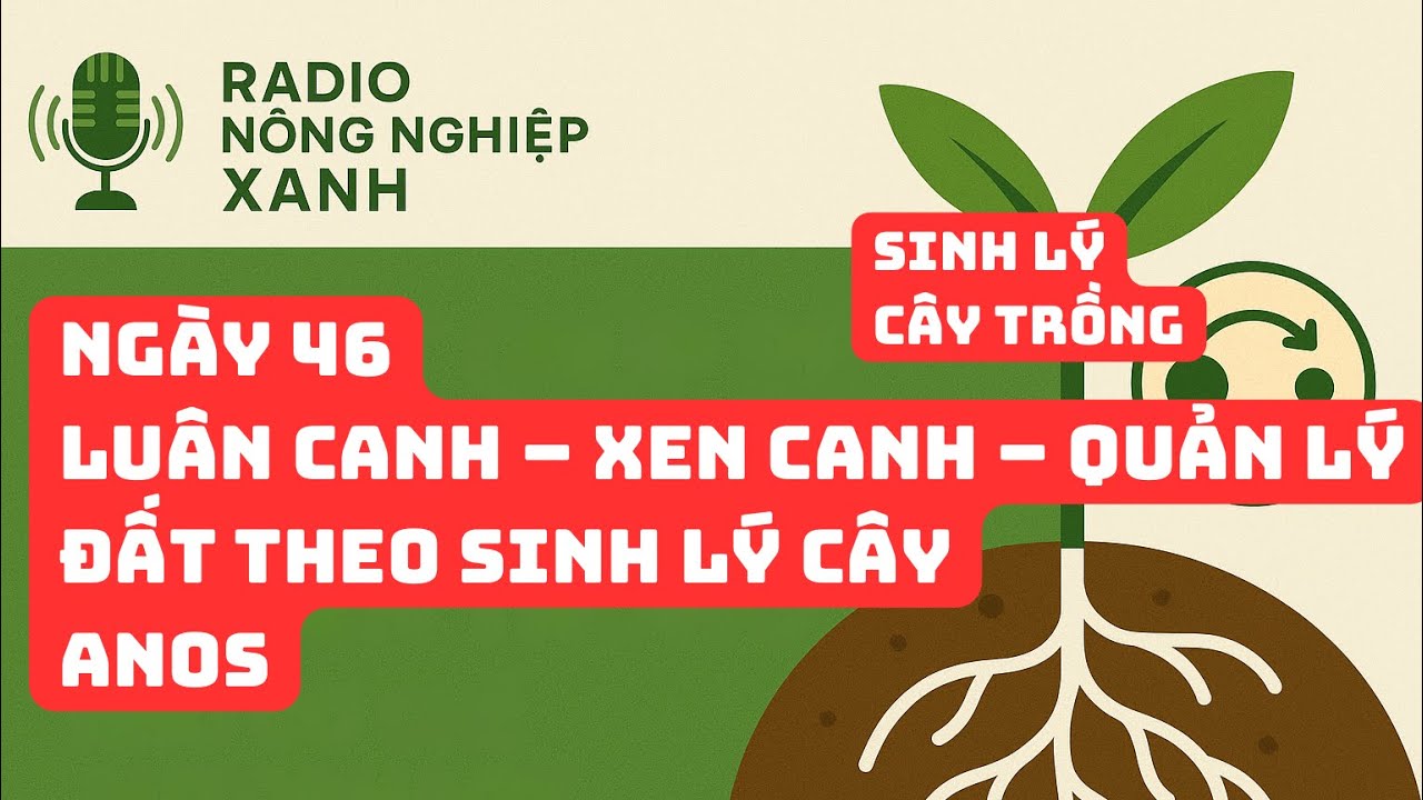 Sinh lý - Ngày 46 | Luân canh, xem canh, quản lý đất theo sinh lý cây | ANOS