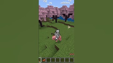how to ride a pig in minecraft 2024 edition