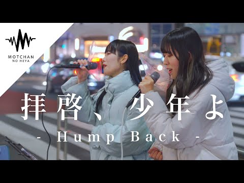 【鳥肌】歌うま2人組の歌声が綺麗に混ざり合って最高すぎた!! 拝啓、少年よ / Hump Back （Covered By 片耳にカラスムギ）