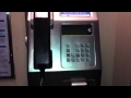 シドニー 公衆電話      Pay phone