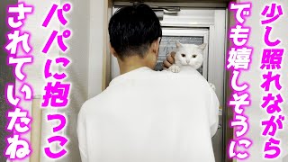 パパが可愛すぎる庭子猫を抱っこして家族の元へ送ってあげました[三毛母猫の子猫]