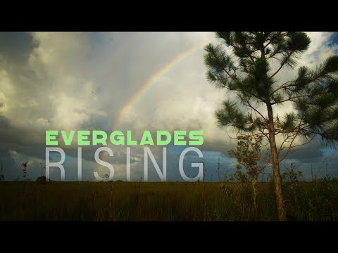 EVERGLADES RISING: Can we save Florida&rsquo;s embattled wetland ecosystem?