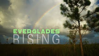 EVERGLADES RISING: Can we save Florida's embattled wetland ecosystem?