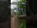 ギリースーツとMk23でサバゲーするとこうなる #shorts