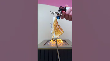 How Many Times Can I Roast A GIANT Marshmallow 