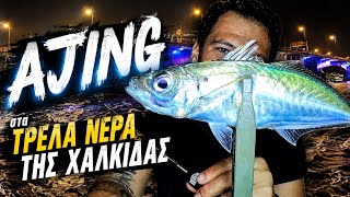 Ψαρεμα για ΣΑΦΡΙΔΙΑ 🐟 στα ΤΡΕΛΑ ΝΕΡΑ της ΧΑΛΚΙΔΑΣ 🔥