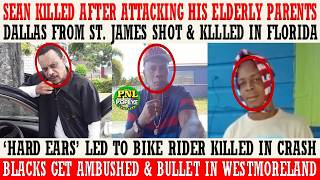 Sean Daay KlLLED After Attacking Parents + Jamaican KlLLED On Florida Job Site + Bike Rider KlLLED