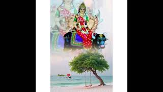 Download Lagu tavmev sarvam  jay vihat maa new whatsapp status gaman santhal 2025 MP3