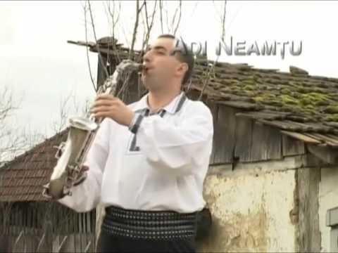 Puiu Codreanu Taticutul meu