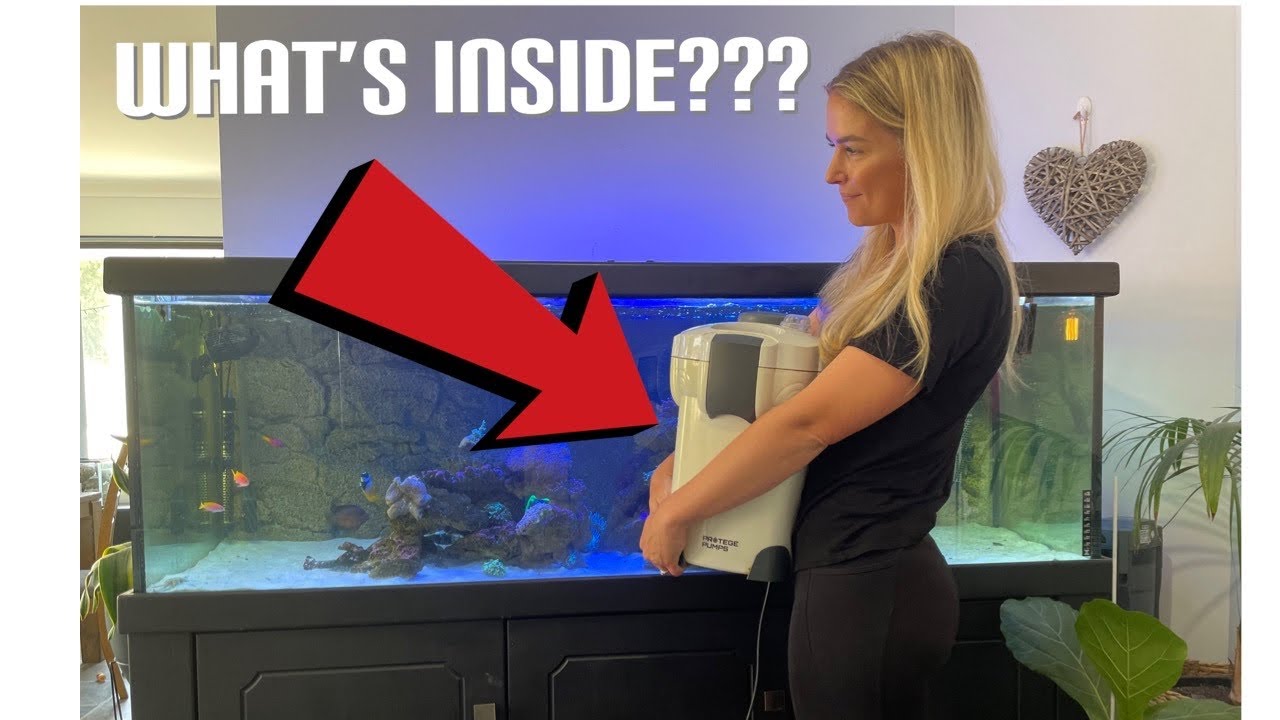 Filter media for saltwater and freshwater tanks with canister filters