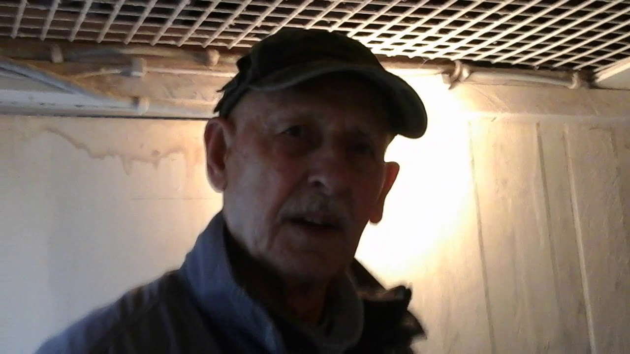 Mijn duiven bekijken (deel 1)