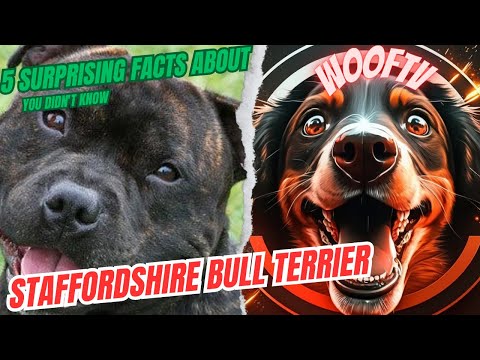 5 Surprising Facts