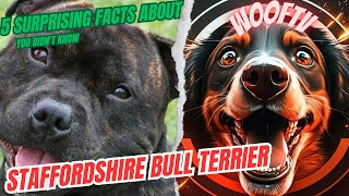 5 Surprising Facts About Staffordshire Bull Terrier You Didn't Know by WoofTV 26 views 1 year ago 2 minutes, 12 seconds