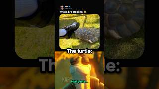 Inner Peace 🐢