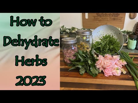 Dehydrating Herbs 2023
