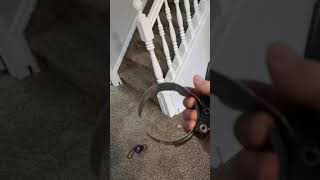 Eshopps eclipse overflow box install